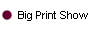 Big Print Show